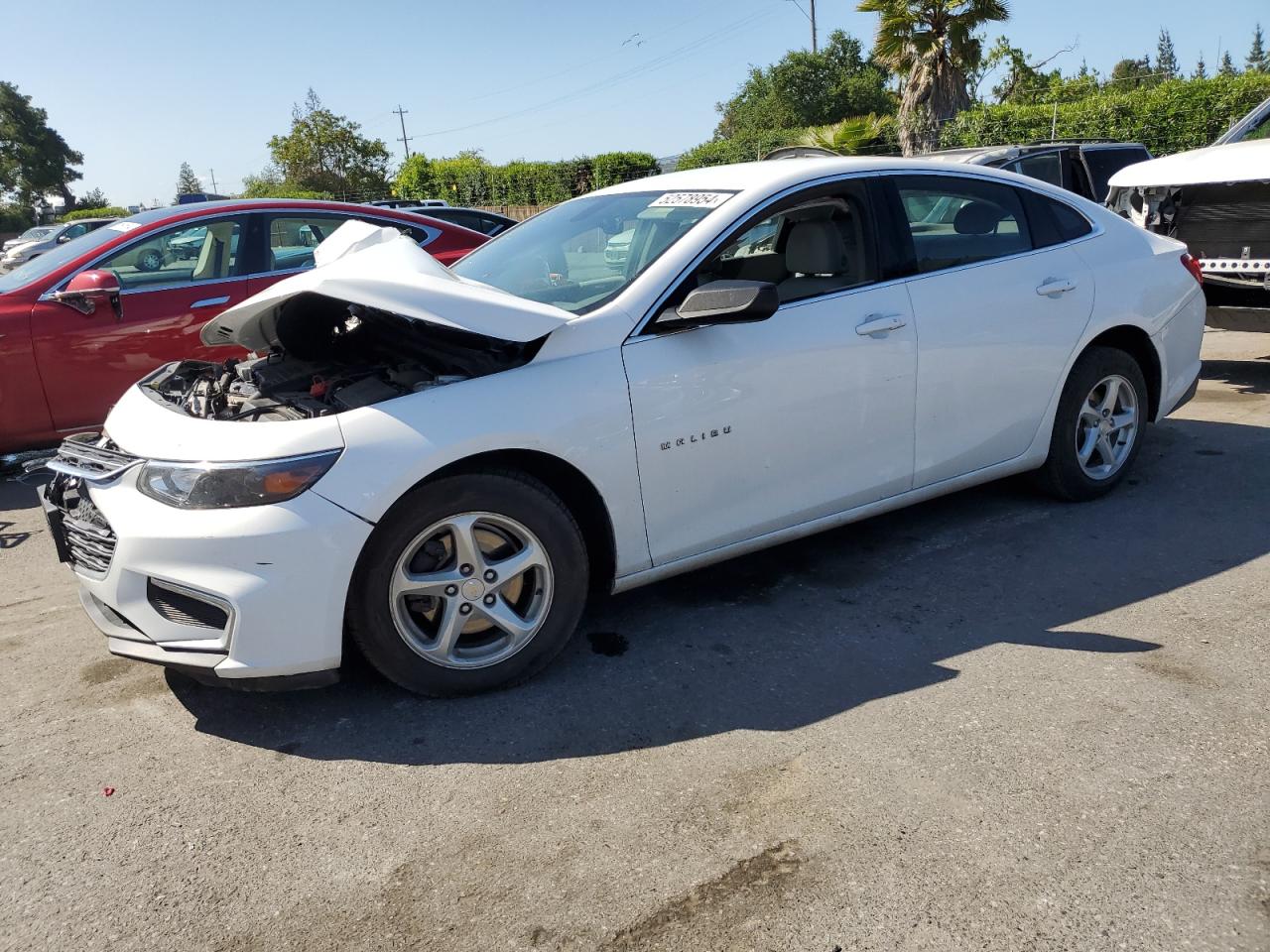 CHEVROLET MALIBU 2018 1g1zb5st0jf211356