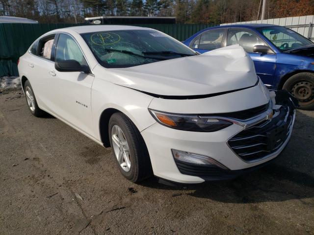 CHEVROLET MALIBU LS 2019 1g1zb5st0kf166128