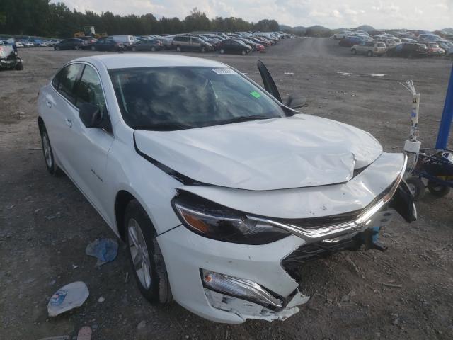 CHEVROLET MALIBU LS 2019 1g1zb5st0kf198478