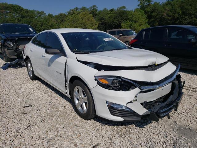 CHEVROLET MALIBU LS 2019 1g1zb5st0kf226201