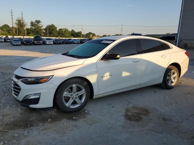 CHEVROLET MALIBU 2020 1g1zb5st0lf150691