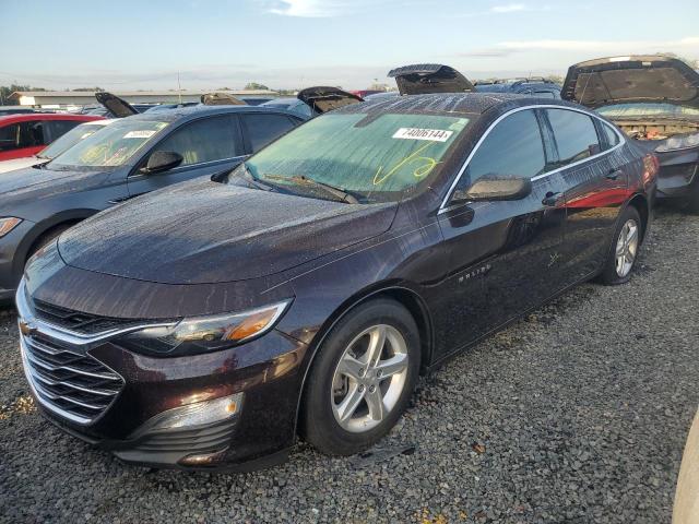 CHEVROLET MALIBU LS 2021 1g1zb5st0mf050558