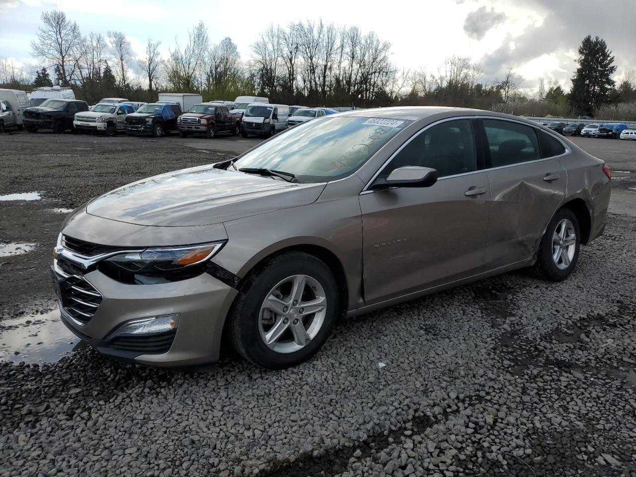 CHEVROLET MALIBU 2022 1g1zb5st0nf214084