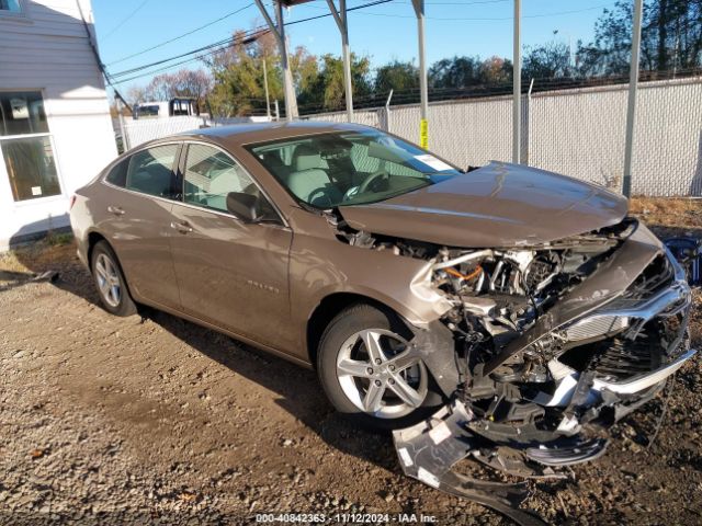 CHEVROLET MALIBU 2023 1g1zb5st0pf247606