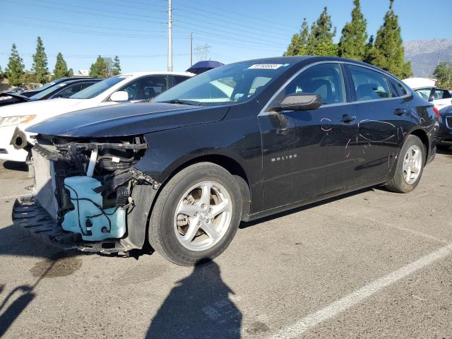 CHEVROLET MALIBU LS 2017 1g1zb5st1hf126665