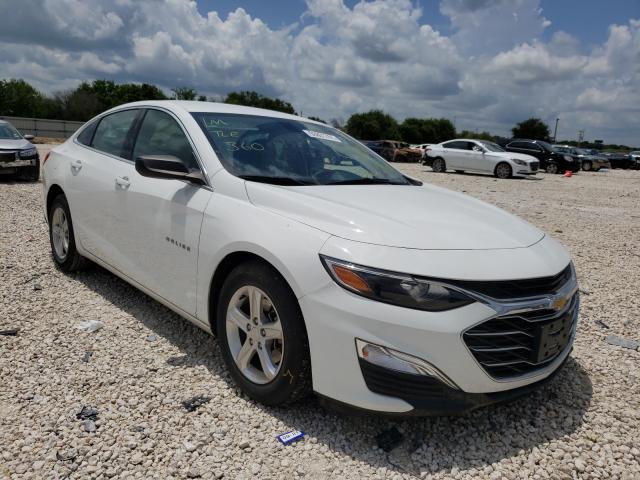 CHEVROLET MALIBU LS 2019 1g1zb5st1kf202246