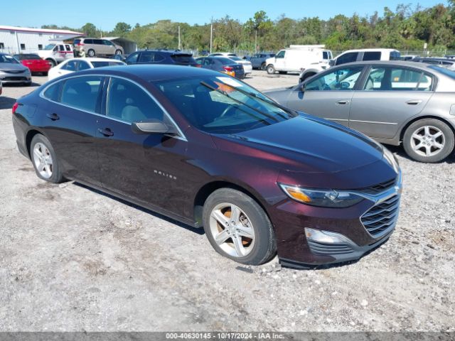 CHEVROLET MALIBU 2020 1g1zb5st1lf087911