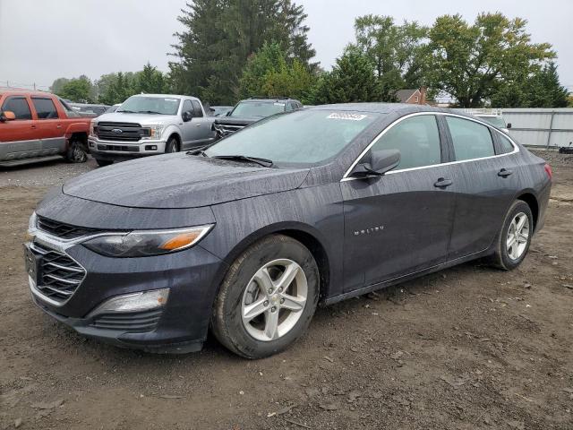 CHEVROLET MALIBU 2022 1g1zb5st1nf209346