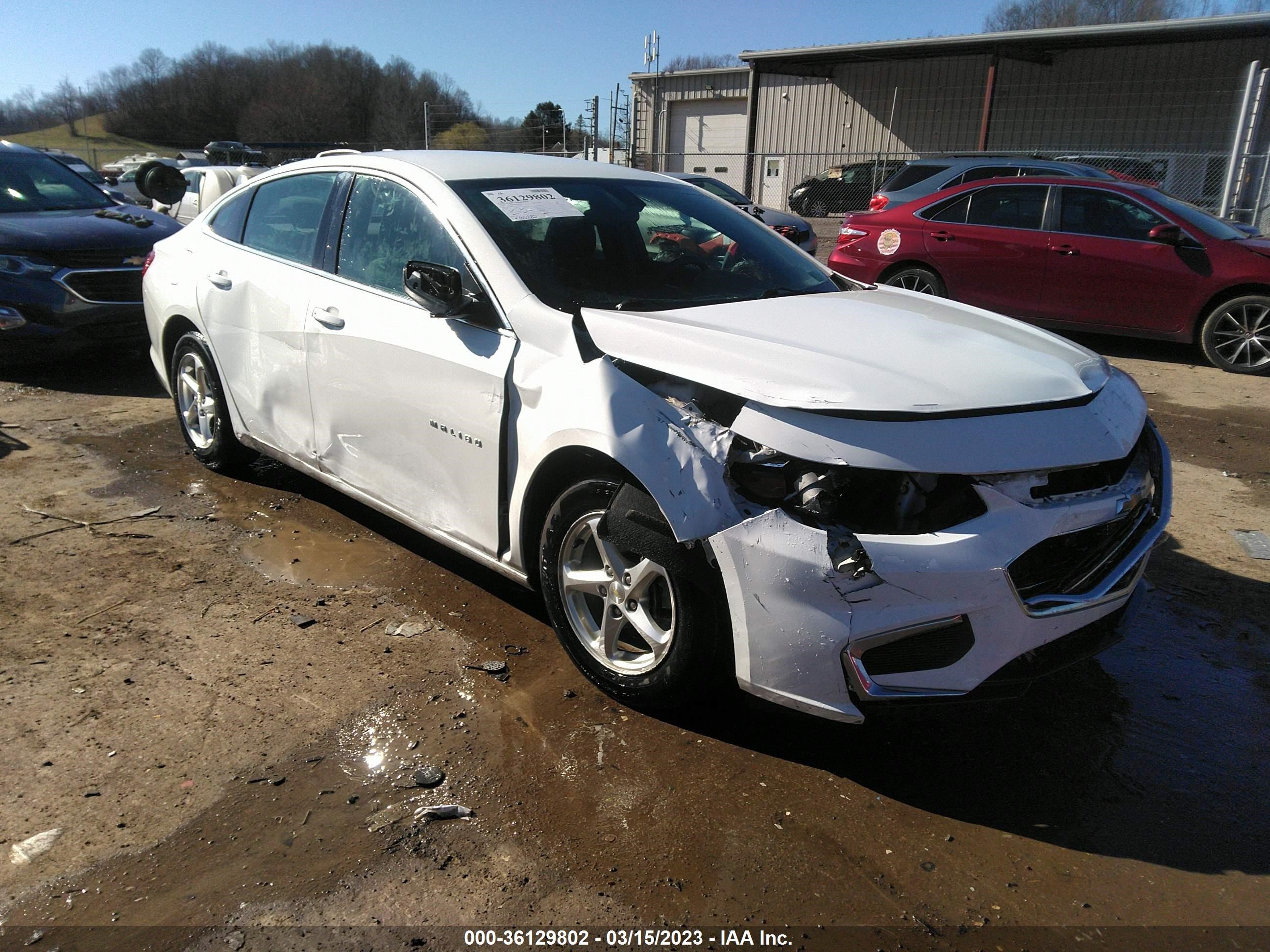 CHEVROLET MALIBU 2016 1g1zb5st2gf231696