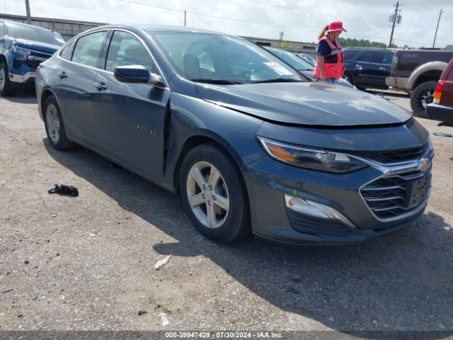 CHEVROLET MALIBU 2019 1g1zb5st3kf119661