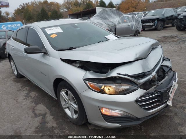 CHEVROLET MALIBU 2019 1g1zb5st3kf127940