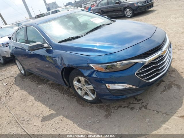 CHEVROLET MALIBU 2019 1g1zb5st3kf160811