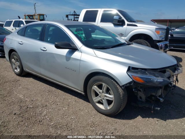 CHEVROLET MALIBU 2019 1g1zb5st3kf206380