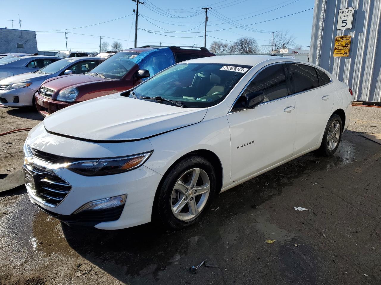 CHEVROLET MALIBU 2019 1g1zb5st3kf216875