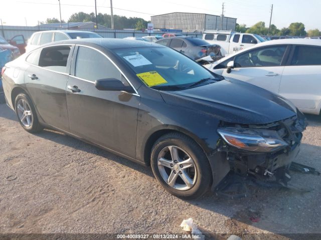 CHEVROLET MALIBU 2019 1g1zb5st3kf221770