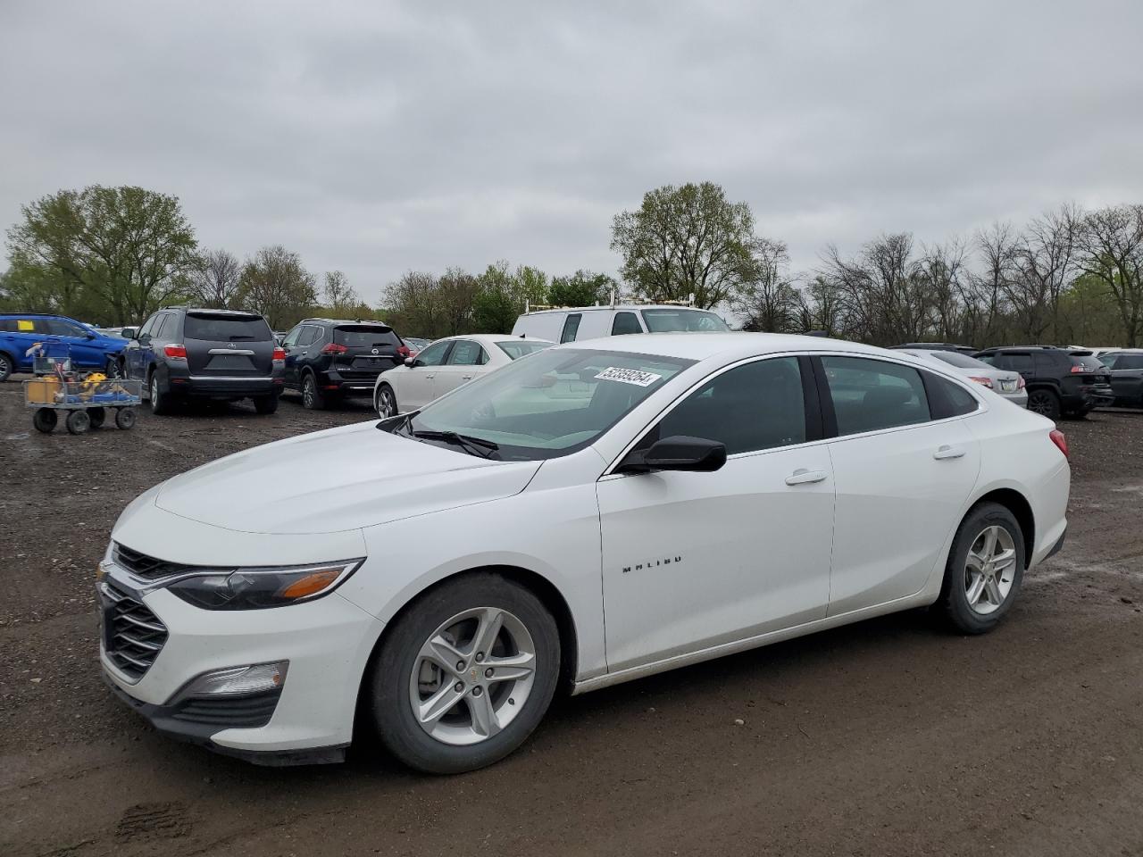 CHEVROLET MALIBU 2022 1g1zb5st3nf206772