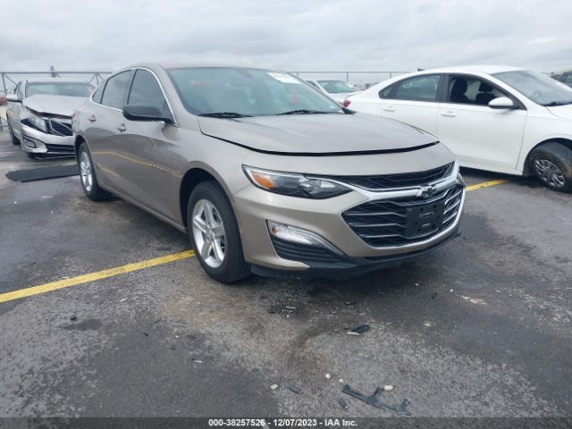 CHEVROLET MALIBU 2022 1g1zb5st3nf209803