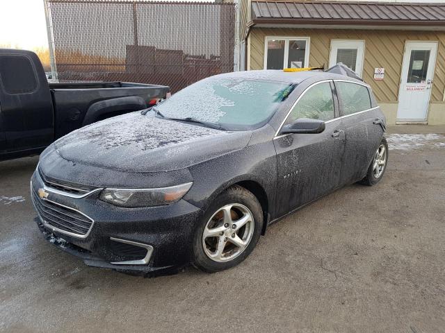 CHEVROLET MALIBU LS 2016 1g1zb5st4gf348177