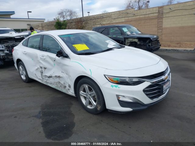 CHEVROLET MALIBU 2019 1g1zb5st4kf145072