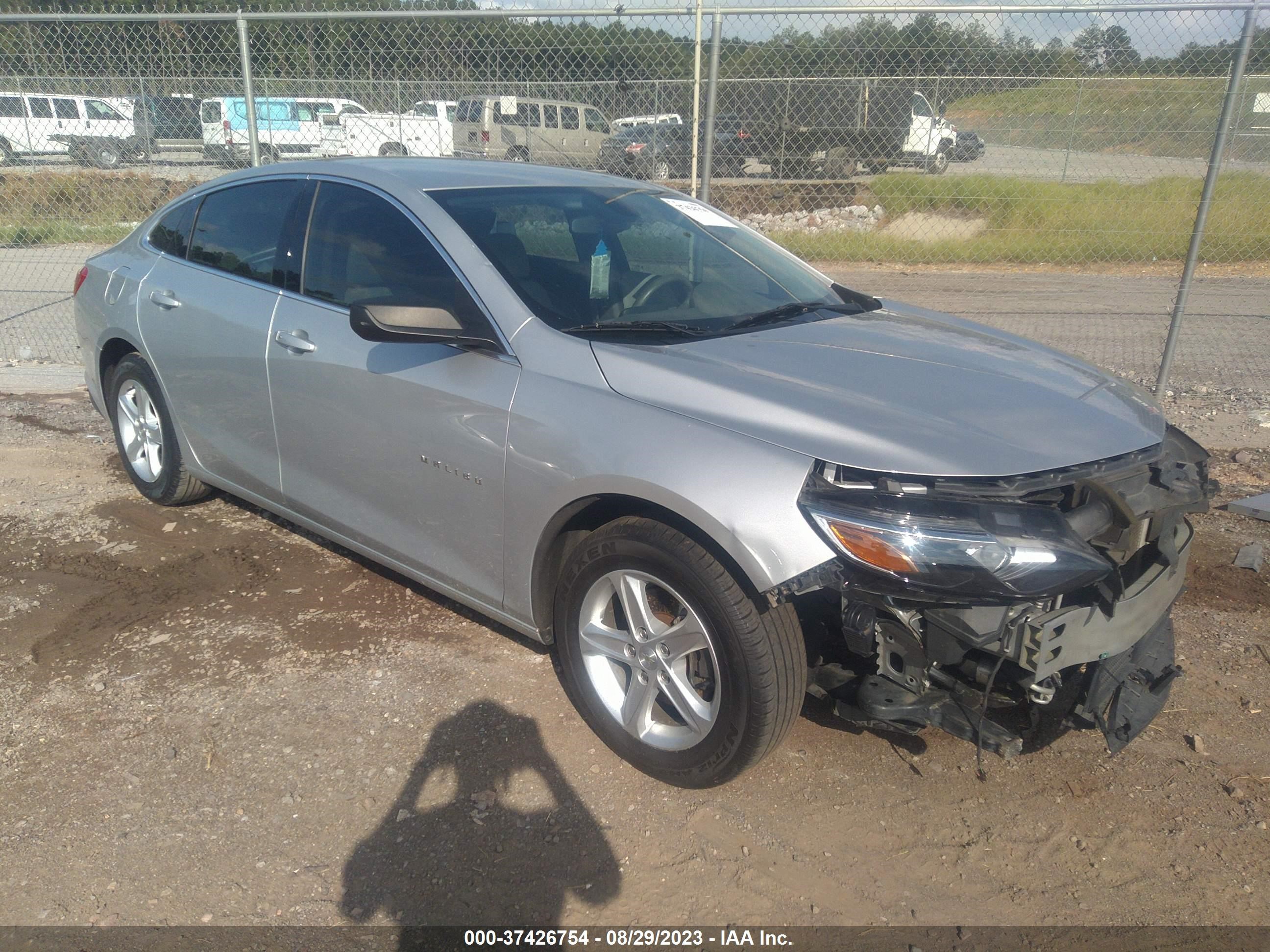 CHEVROLET MALIBU 2019 1g1zb5st4kf152846