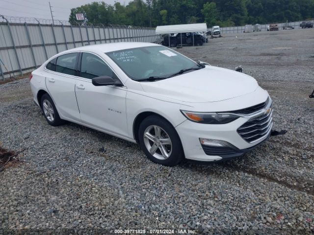 CHEVROLET MALIBU 2019 1g1zb5st4kf175415