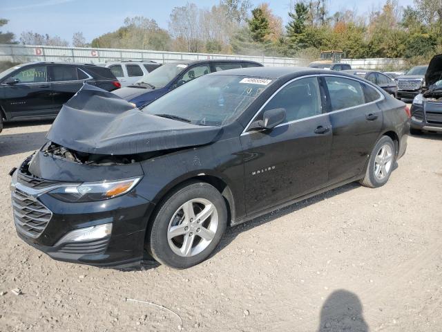 CHEVROLET MALIBU LS 2020 1g1zb5st4lf049508