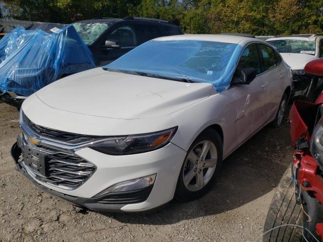 CHEVROLET MALIBU LS 2020 1g1zb5st4lf118729