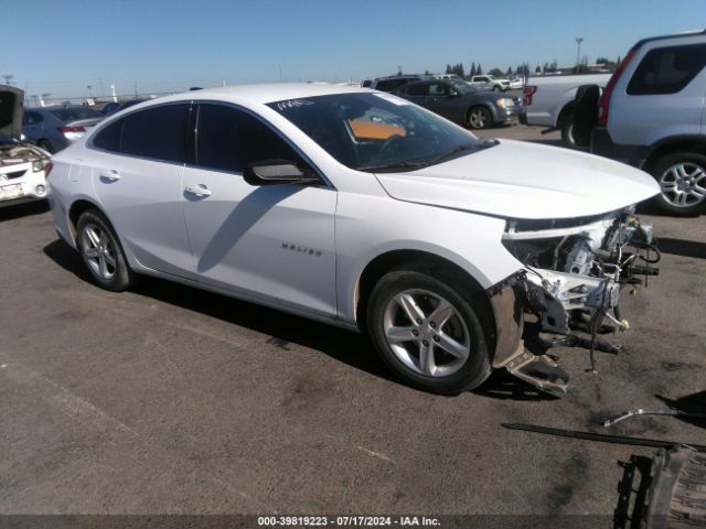 CHEVROLET MALIBU 2022 1g1zb5st4nf214282