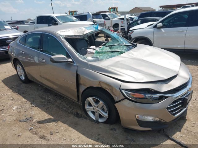 CHEVROLET MALIBU 2024 1g1zb5st4rf113359