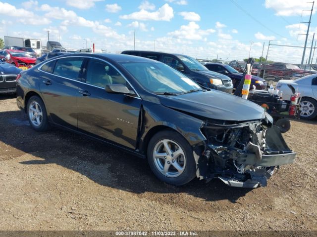 CHEVROLET MALIBU 2018 1g1zb5st5jf155429