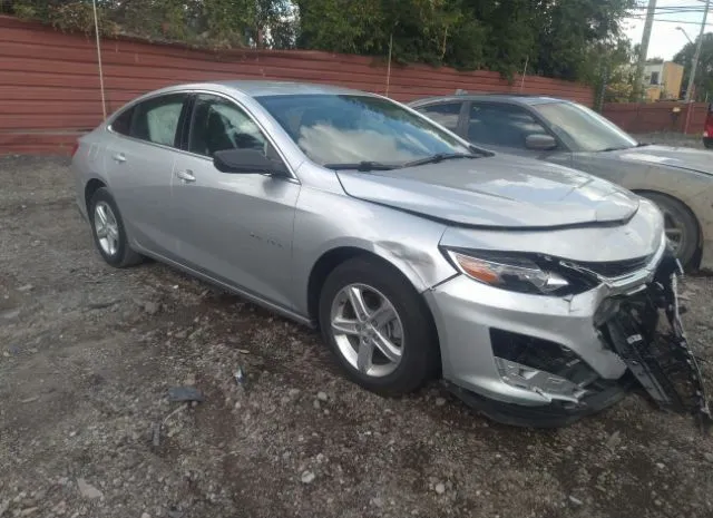 CHEVROLET MALIBU 2019 1g1zb5st5kf110623