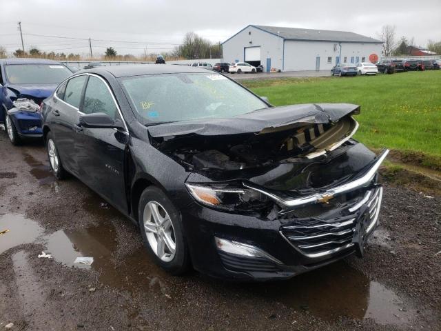 CHEVROLET MALIBU LS 2019 1g1zb5st5kf145470