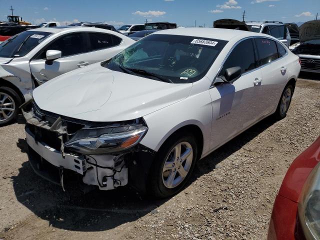 CHEVROLET MALIBU LS 2019 1g1zb5st5kf228462