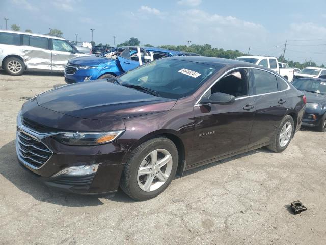 CHEVROLET MALIBU LS 2020 1g1zb5st5lf024035