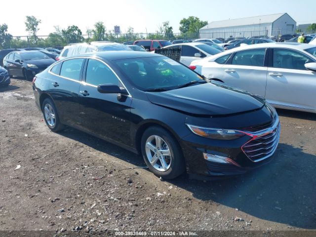 CHEVROLET MALIBU 2024 1g1zb5st5rf129568