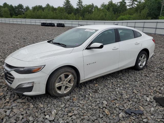 CHEVROLET MALIBU LS 2024 1g1zb5st5rf134592