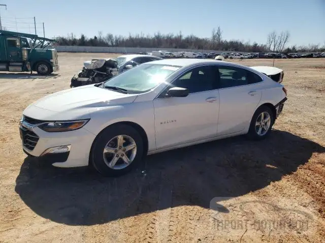 CHEVROLET MALIBU 2019 1g1zb5st6kf127883