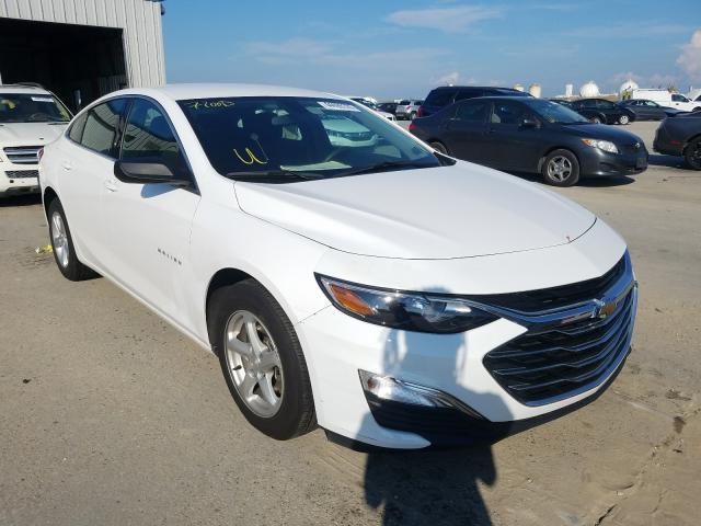 CHEVROLET MALIBU LS 2019 1g1zb5st6kf207104