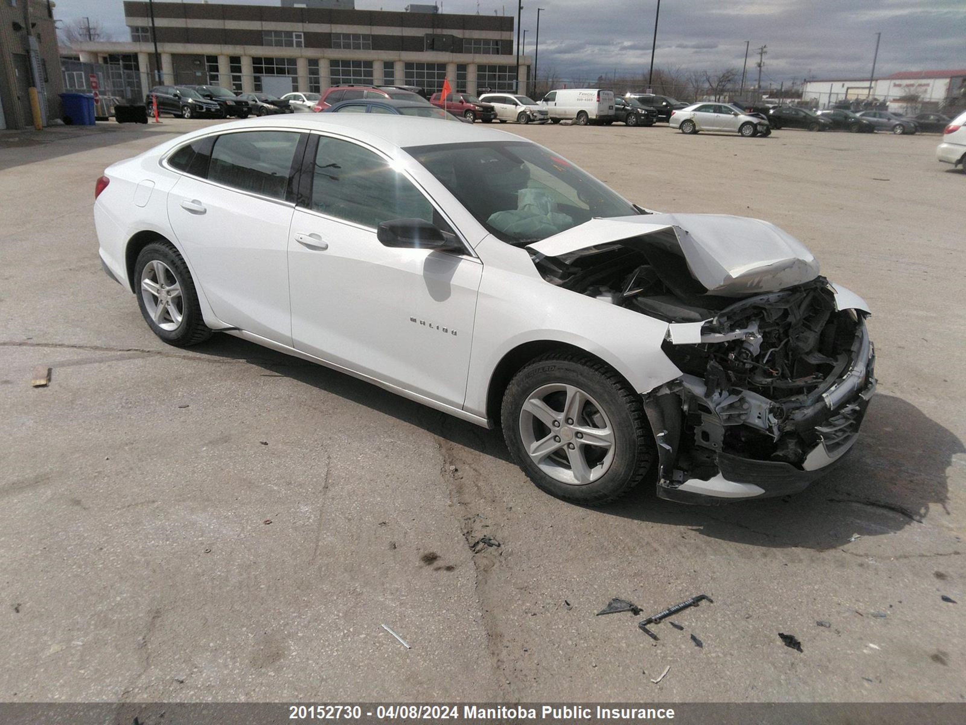 CHEVROLET MALIBU 2019 1g1zb5st6kf227188