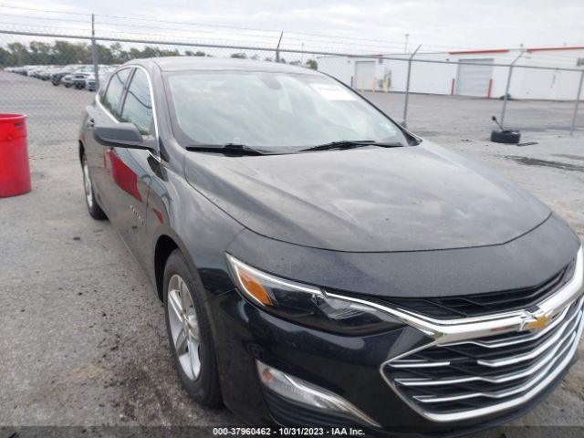 CHEVROLET MALIBU 2019 1g1zb5st7kf192113