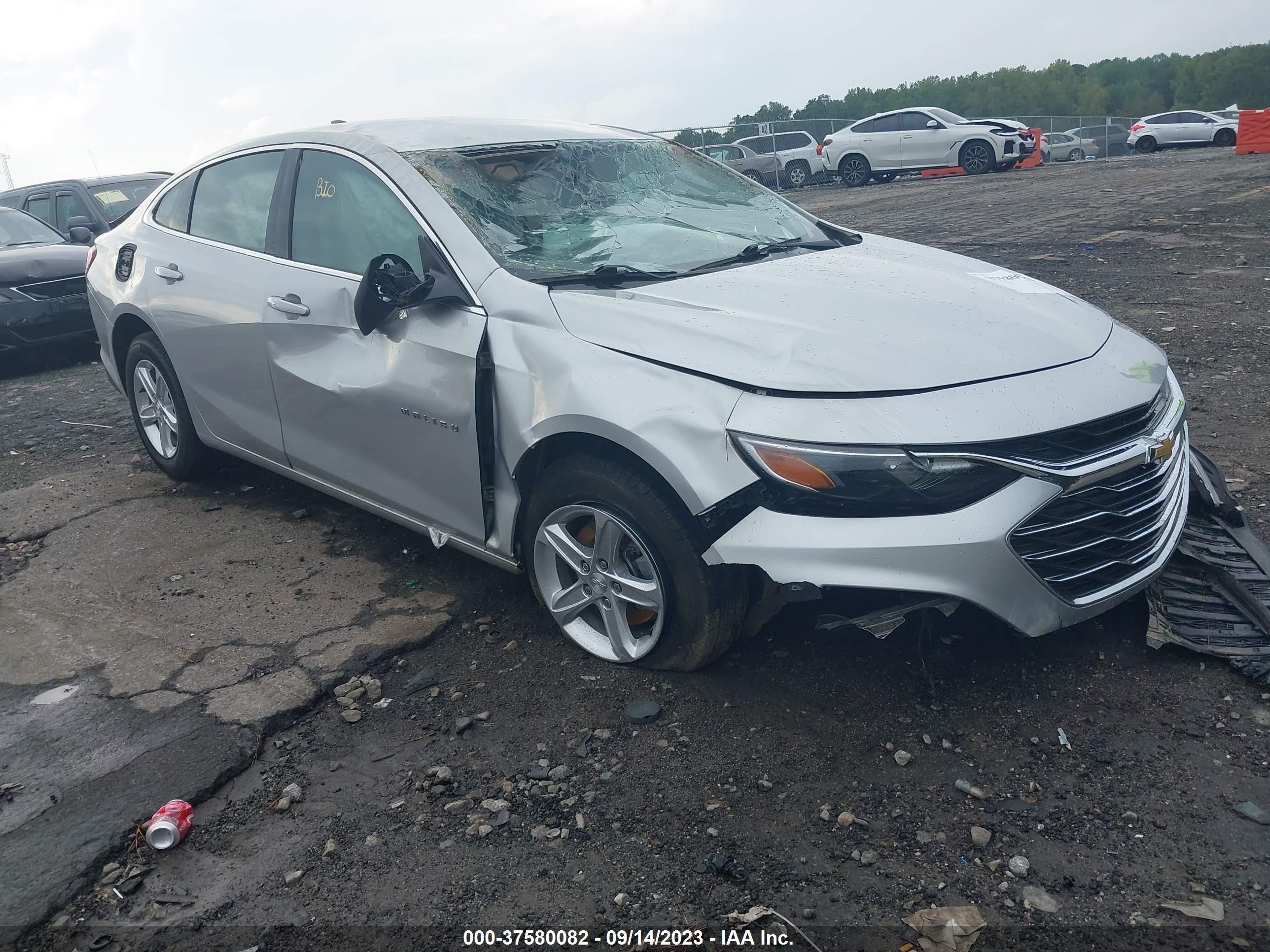 CHEVROLET MALIBU 2019 1g1zb5st7kf199675