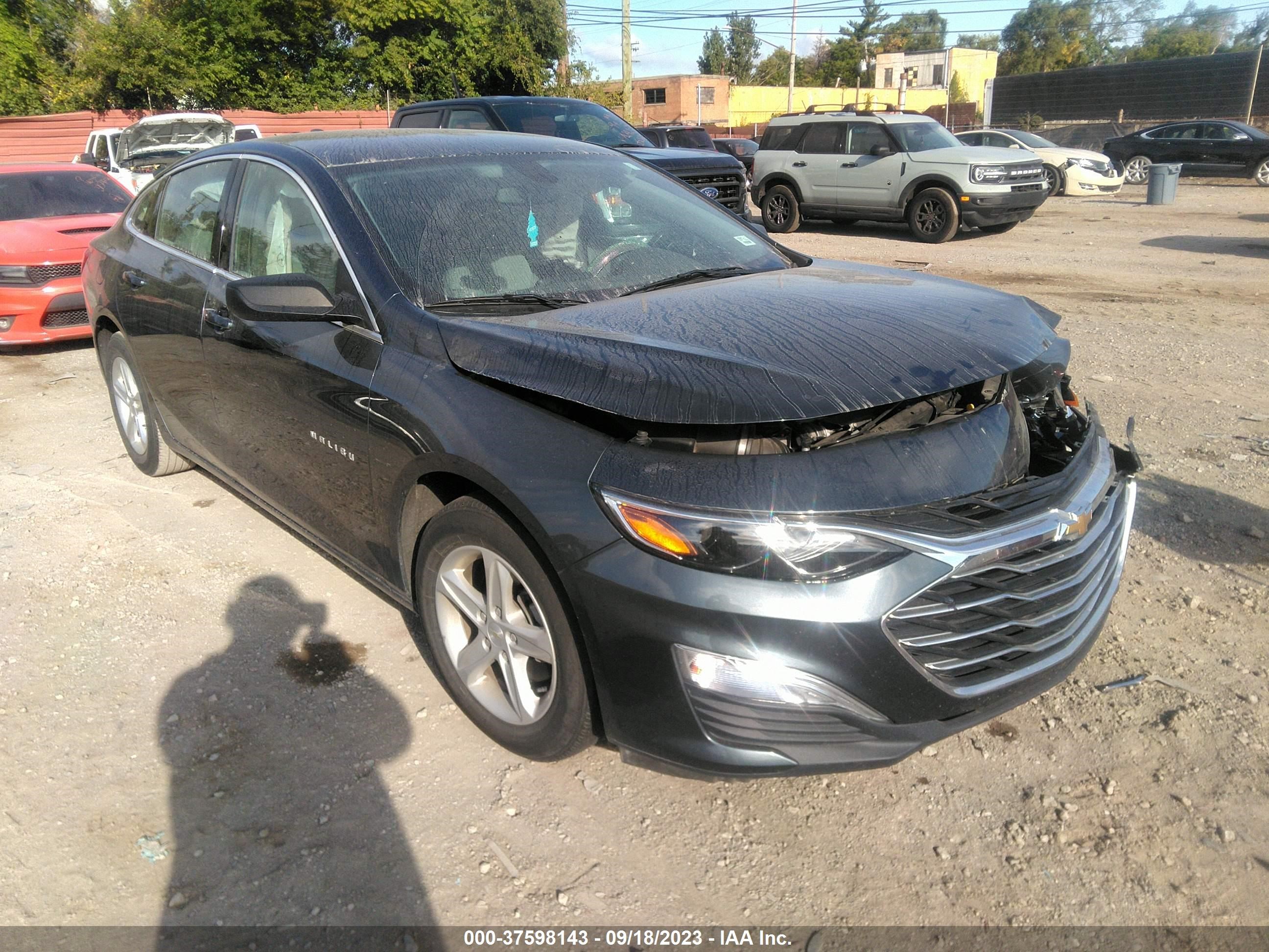 CHEVROLET MALIBU 2019 1g1zb5st7kf214451