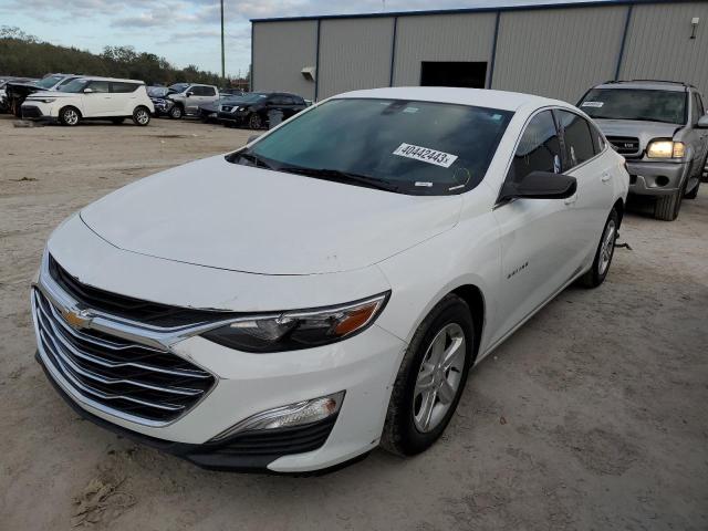 CHEVROLET MALIBU LS 2019 1g1zb5st7kf219181