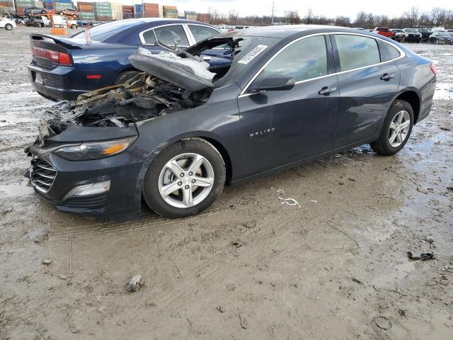 CHEVROLET MALIBU LS 2022 1g1zb5st7nf190723