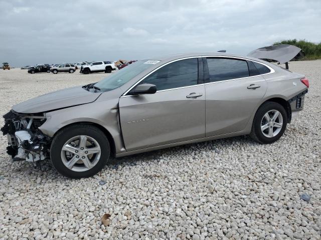 CHEVROLET MALIBU LS 2024 1g1zb5st7rf205484