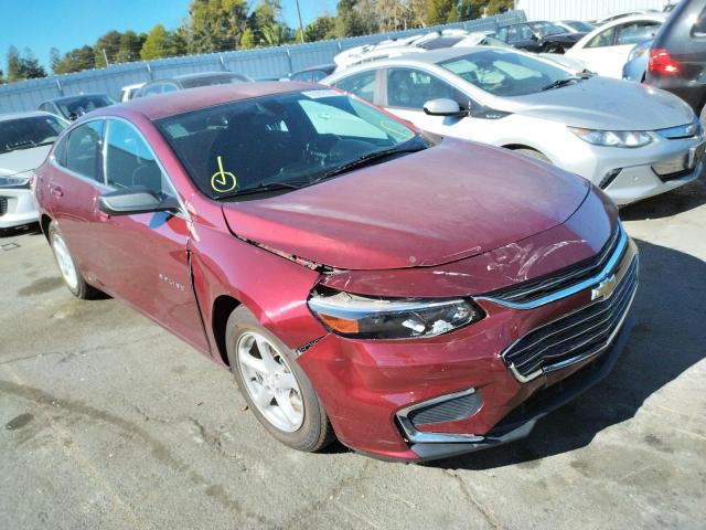 CHEVROLET MALIBU LS 2016 1g1zb5st8gf301461