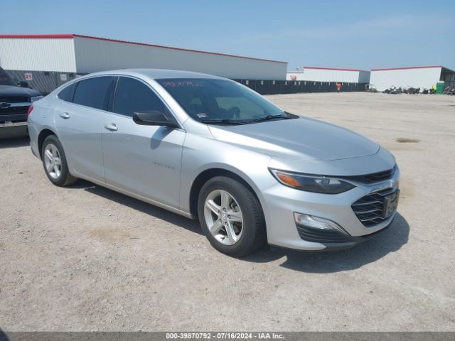 CHEVROLET MALIBU 2019 1g1zb5st8kf119526