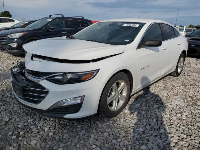 CHEVROLET MALIBU LS 2019 1g1zb5st8kf126735