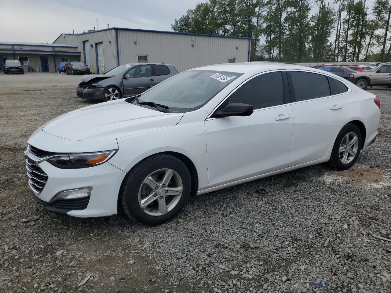 CHEVROLET MALIBU 2019 1g1zb5st8kf127593