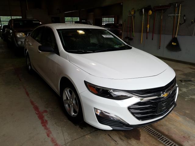 CHEVROLET MALIBU LS 2019 1g1zb5st8kf176552